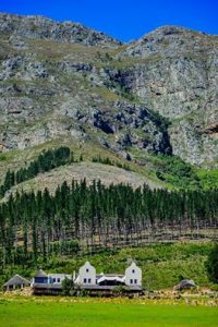 Chamonix Wine Farm Franschhoek