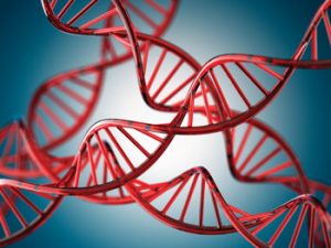 DNA